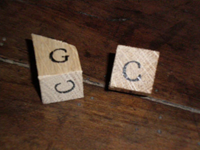 La Cabane Sul'Dos :: Jeu de dés en bois